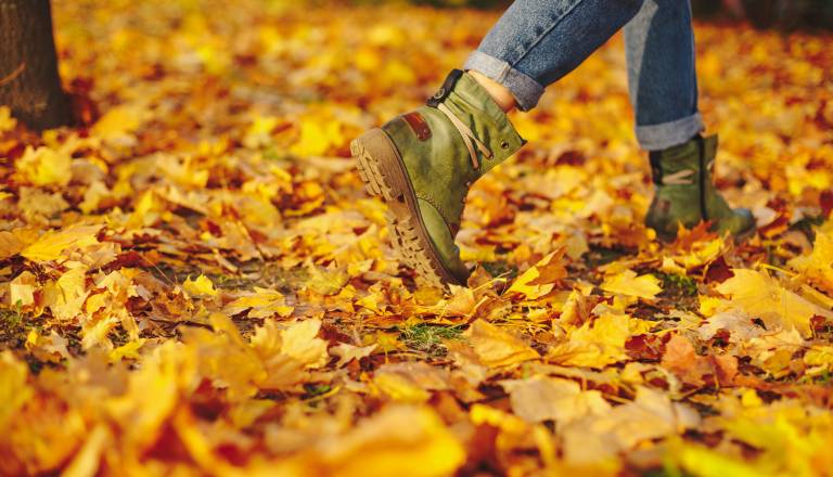 Drama na nebu, Venera in Kiron prebujata stare negotovosti