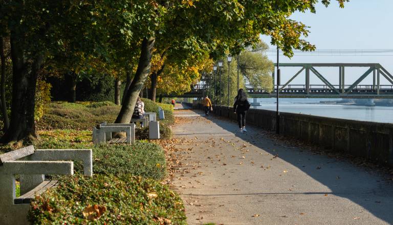 Kakšno vreme nas čaka? Jesen bo še naprej v znamenju sonca in jutranje megle