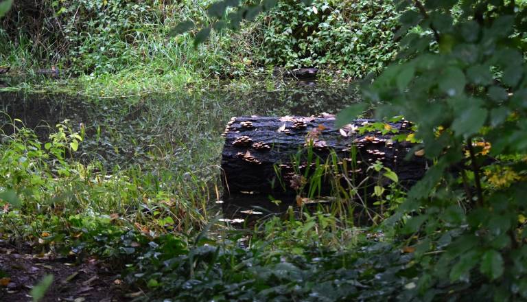 Skrivnostni umor v okolici Maribora: Truplo 16-letnice našli v greznici, primer ostaja nerešen že 35 let