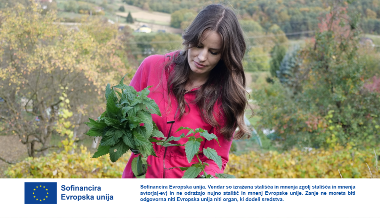 Vrtičkarji navdušeni, to domače škropivo iz kopriv uničuje škodljivce bolje kot kupljena kemija