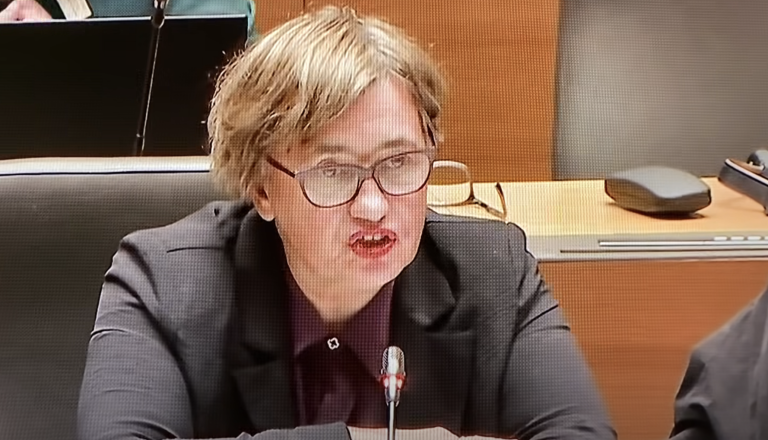 Izjava poslanke Levice glede smrti Aleša Šutarja: »Če nekoga udariš in ta nerodno pade je to nenaklepni uboj«