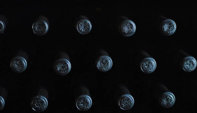 Martinovo, praznik vina: Preverite, koliko vina smo lani pridelali 