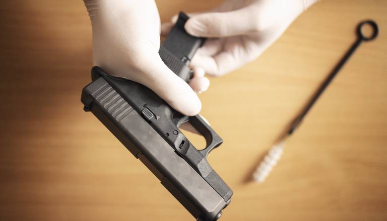 Policija posredovala pred vlado palačo, moški prinesel orožje