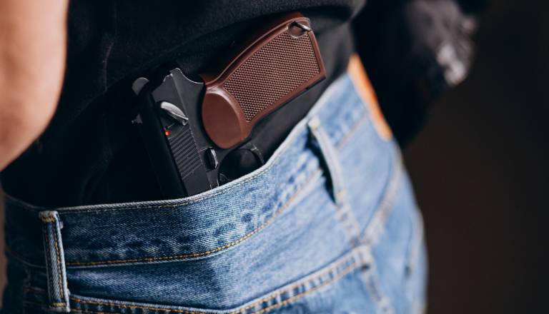 Moški s Štajerske varde pred vlado z orožjem, posredovala policija