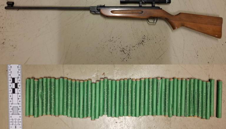 Policisti v Novem mestu pri 37-letnici našli petarde in zračno puško