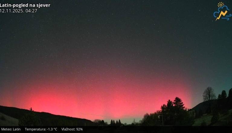 Severni sij že viden v Sloveniji in na Hrvaškem