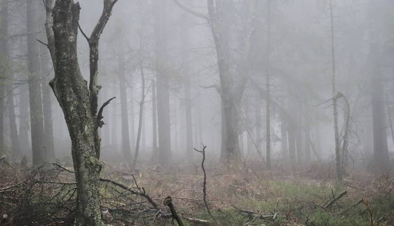Truplo 16-letnice našli v greznici na Štajerskem, primer ostaja nerešen že 35 let