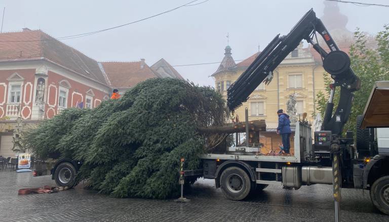 FOTO in VIDEO: Priprave na Advent se nadaljujejo, na Mestni trg pripeljali smreko