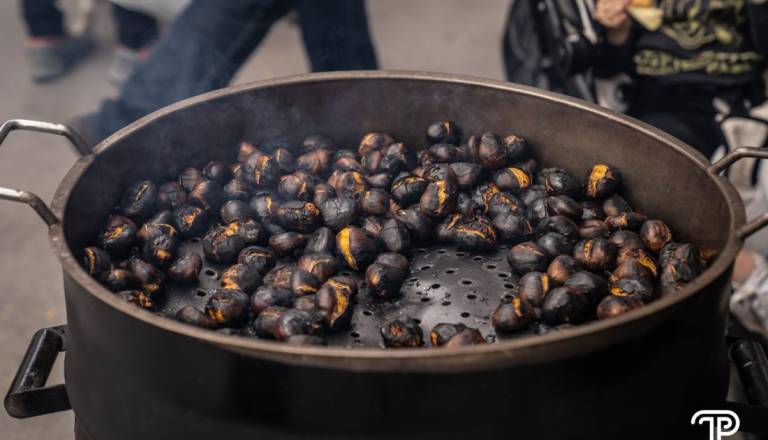 Kaj lahko glede gnilega kostanja naredi ljubljanski župan Zoran Janković?