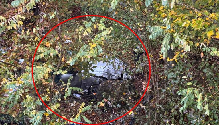 Smrtna žrtev na puconski ravnici, tako daleč je preiskava po več kot letu dni