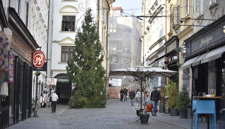 FOTO in VIDEO: Na pragu najlepšega dela leta, ujeli smo prvo znanilko