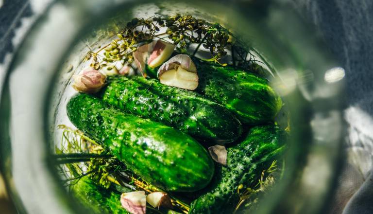 Vzorci vložene zelenjave pod drobnogledom – to je pokazal nadzor UVHVVR!