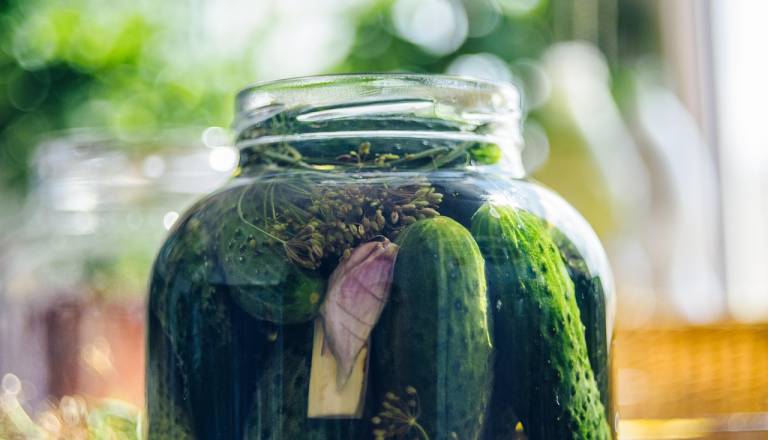 Panika zaradi kumaric? UVHVVR razkrila resnico o prisotnosti paracetamola v vloženi zelenjavi!