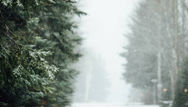 Slovenijo čaka hladna fronta, meja sneženja se bo spustila