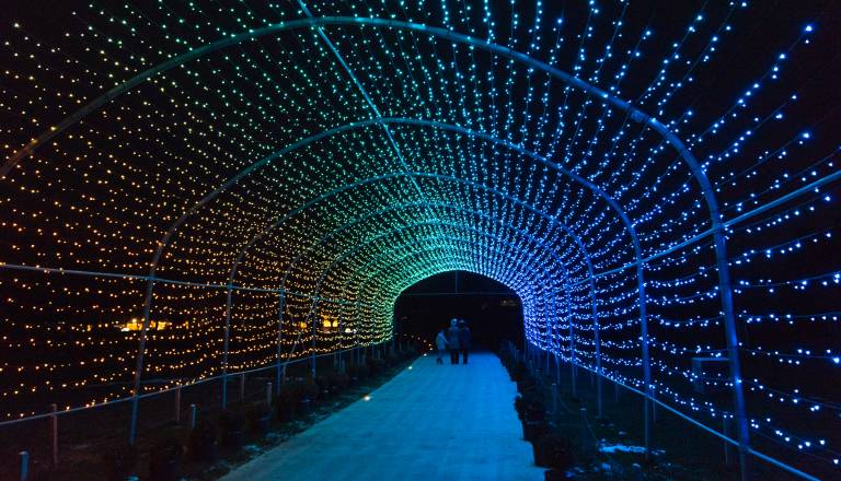 To so datumi, ko bodo slovenska mesta zasijala v soju prazničnih luči