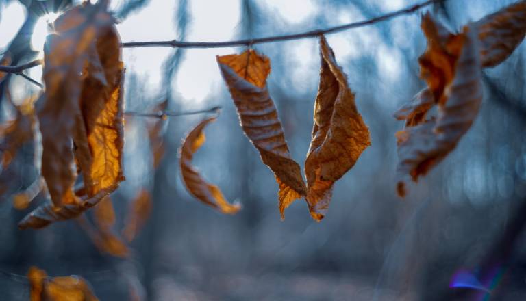 Prihaja nekaj vremenskih preobratov, kaj lahko pričakujemo po zadnjih napovedih?