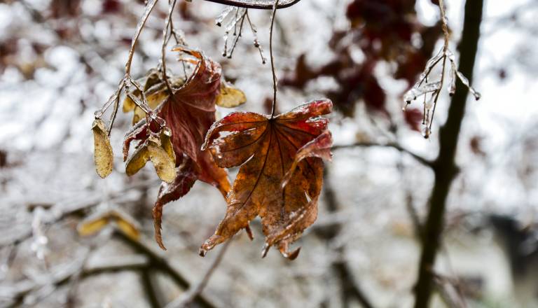 Pred nami je spremenljivo vreme, kaj napovedujejo vremenoslovci za prihodnje dni?