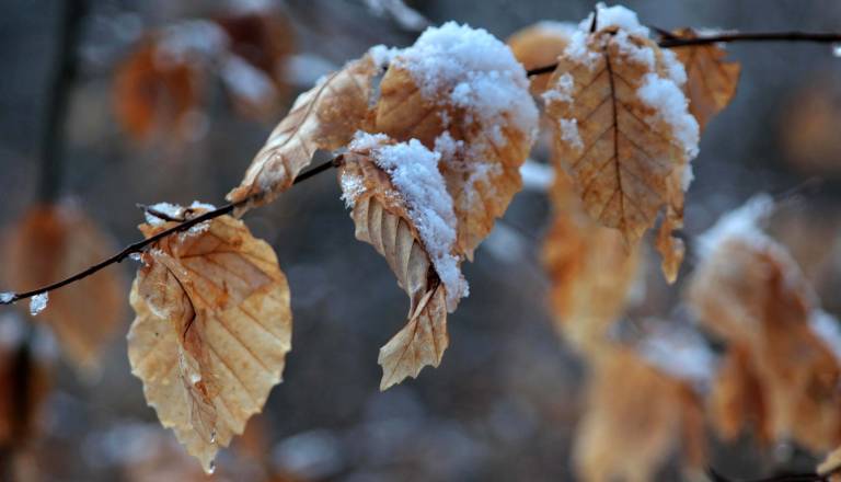 V prihodnjih dneh bo vreme raznoliko, kaj o tem pravijo meteorologi?