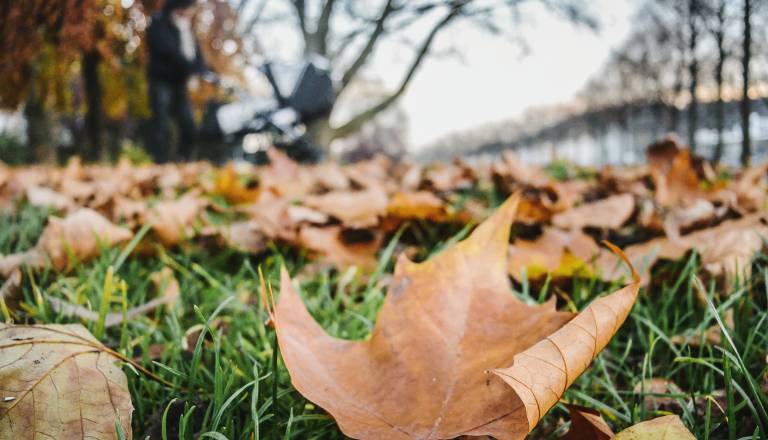 Pred nami so vremenski preobrati, kaj napovedujejo vremenoslovci?