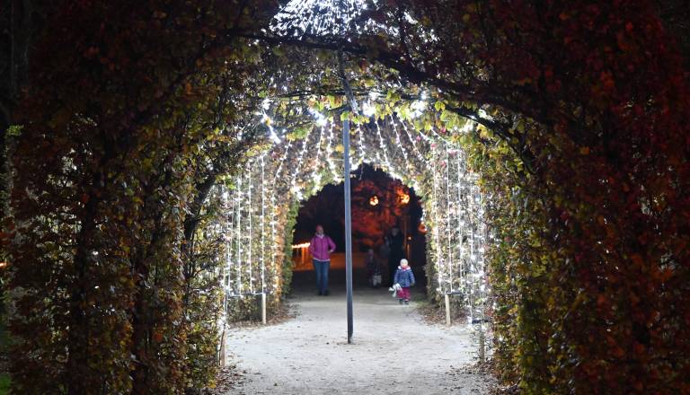 Kdaj bodo slovenska mesta zasijala v soju prazničnih luči? To so datumi ...