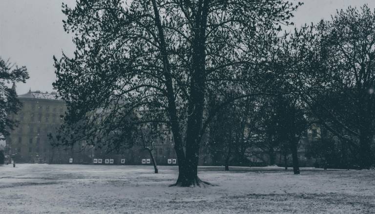 V ponedeljek oblačno s krajevnimi padavinami, v torek pa ...