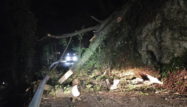 Na cesti proti gradu Brestanica padli drevesi in oplazili vozilo