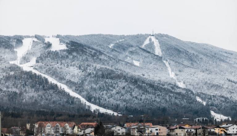 Kakšna bo letošnja zima? Poglejte, kaj nam sporočajo znamenja v naravi
