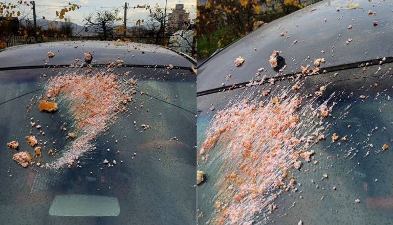 FOTO: V Zalogu se zgražajo nad potegavščinami mladine: V avte in fasade mečejo hrano!i od hrane