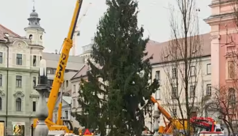 VIDEO: Praznična smreka iz Medvod že krasi Prešernov trg, občina zbira predloge za njeno ime