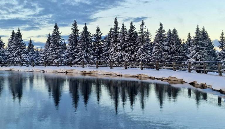 Deli države zaviti v snežno odejo, na cestah možna poledica