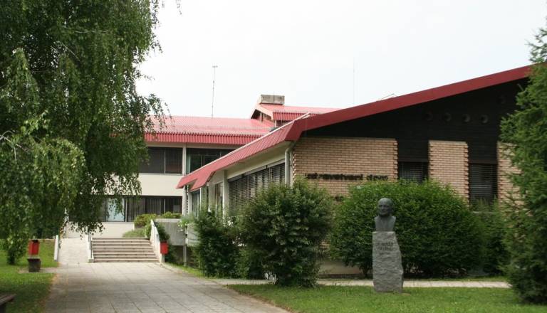 Tast 15-letne Romkinje v ZD Ribnica zahteval napotnico za neplodnost