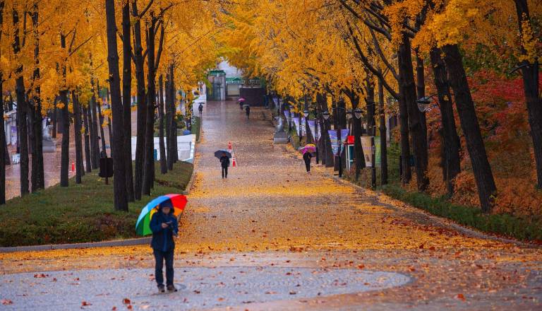 Sonce le še danes na vzhodu, ponoči prihaja dež in močan veter
