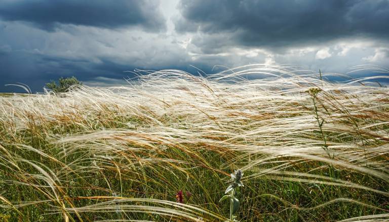 Močan veter prihaja na Štajersko, Arso izdal oranžno opozorilo