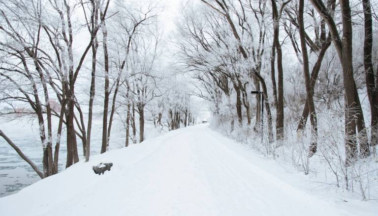 Se bomo prebudili v zasneženo jutro? Dež bo ponoči v večjem delu države prešel v sneg