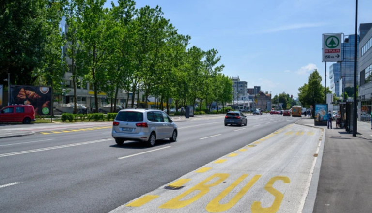 Rumen pas v Ljubljani: Avtobusi, taksiji in še kdo?