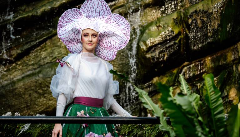 Praznična čarovnija med orhidejami