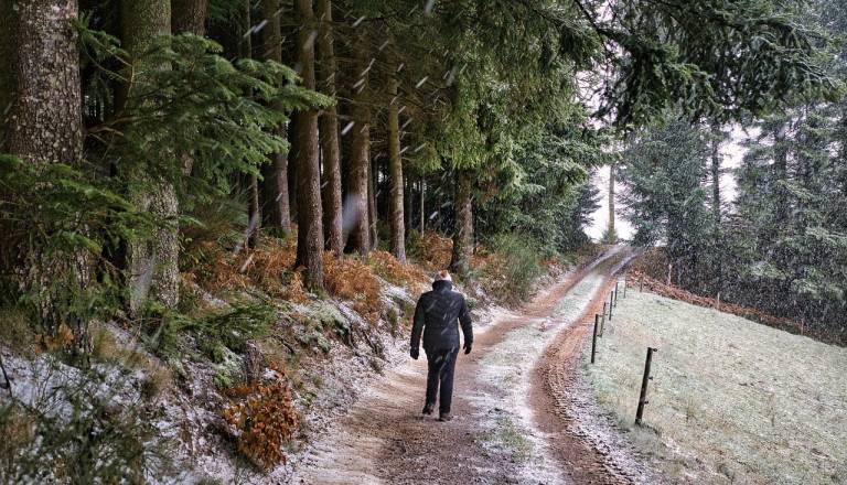 Zvezde pritiskajo, maske padajo, resnica prihaja na plan