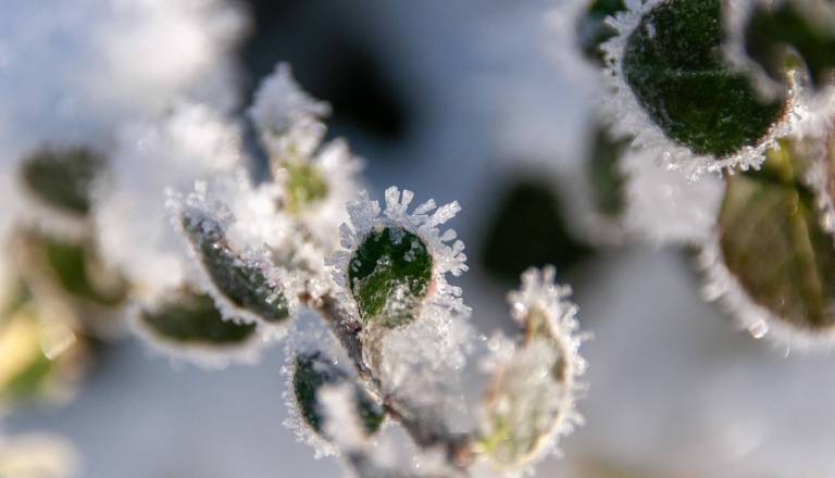 Danes bo pretežno jasno, ponoči pa dež in možnost poledice 