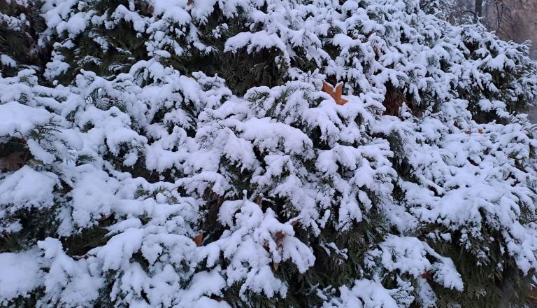 Prihaja vremenska fronta, meja sneženja se bo spuščala