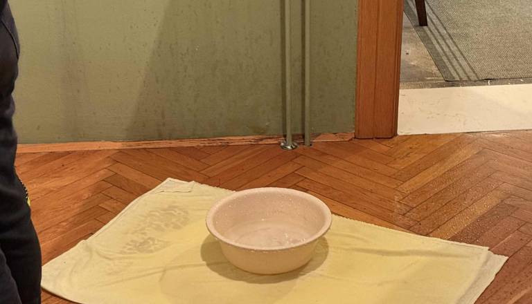 FOTO in VIDEO: Neprijetno presenečenje na otvoritvi razstave, lavor pod stropom razkril pravo stanje Šeškovega doma