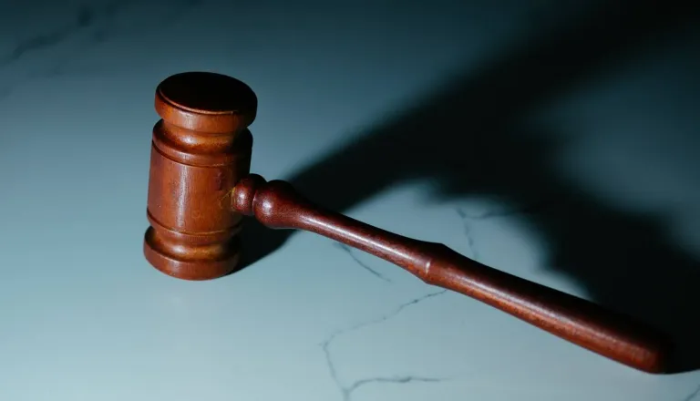 Sojenje Vozliču za umor 42-letnega državljana BiH-a prehaja v sklepno fazo