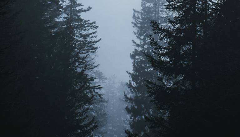 Uboj v Lovrencu na Pohorju: Obtožnica je pravnomočna, osumljenki podaljšan prip