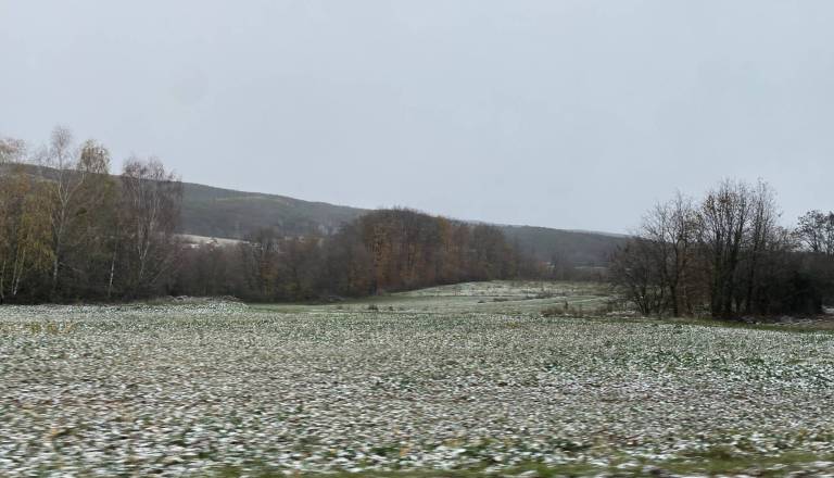 Slovenijo čaka izrazit jutranji mraz, v notranjosti bo megleno