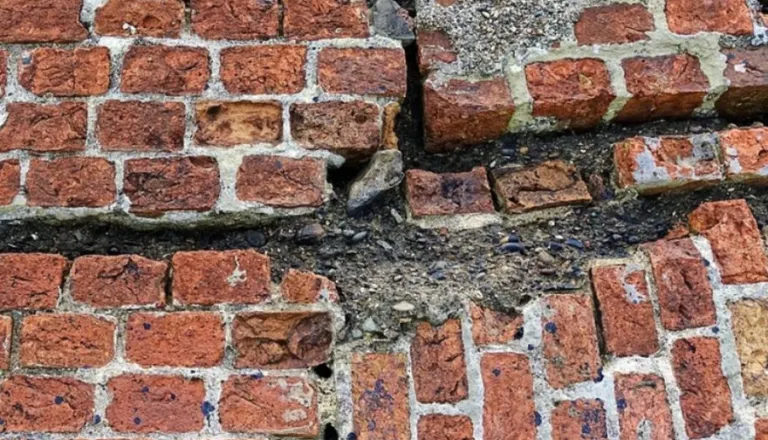 Dolenjsko stresel potres, ste ga čutili?