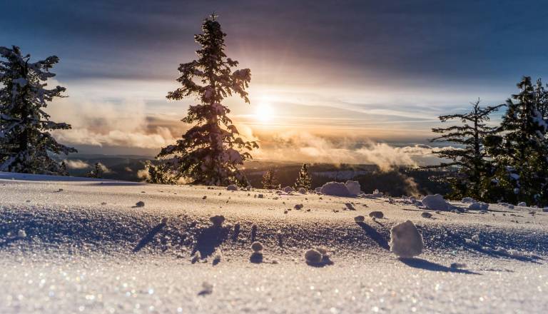 Kje bo to zimo največ snega? Več ga bo, kot je kazalo sprva 