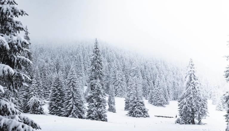 Ta zima obeta presenečenja: Več snega, kot je kazalo sprva 