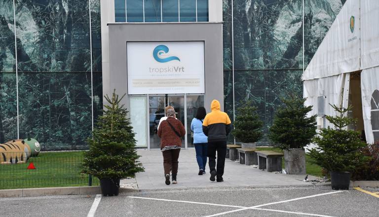 FOTO in VIDEO: Tropski vrt Ocean Orchids oživel v prazničnem vzdušju