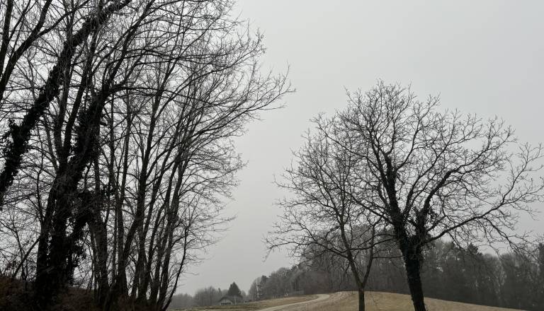 Nedelja se bo začela z jasnino, popoldne prihaja več oblakov