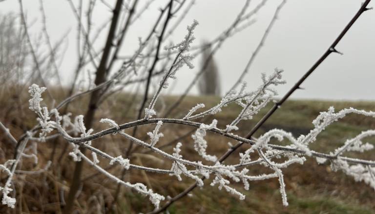 Ponoči jasno, jutro prinaša meglo in ...