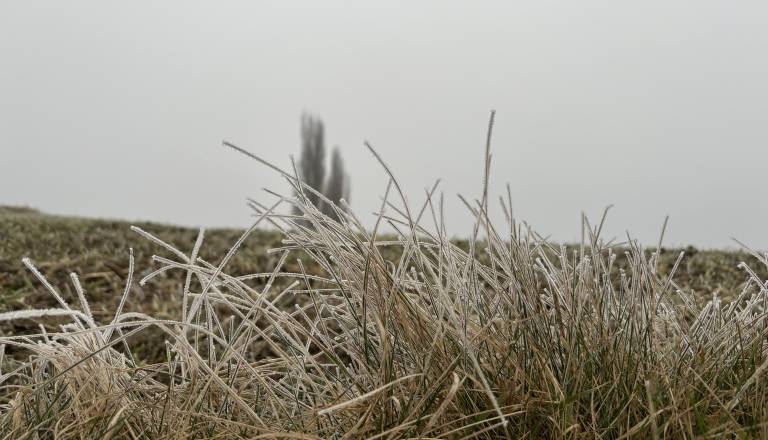 Od jasne noči do oblačnega ponedeljka